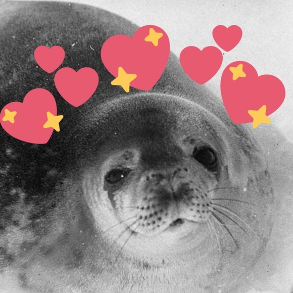 selkieboi